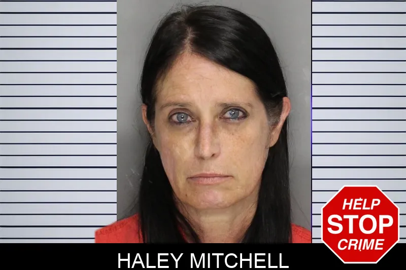 Haley Mitchell mugshot – Cobb County , Georgia Haley Mitchell mugshot