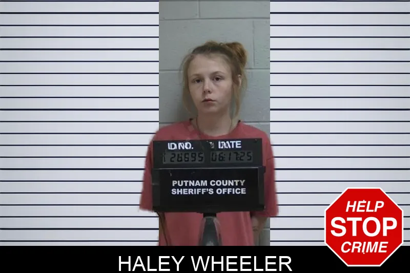 Haley Wheeler Mugshots