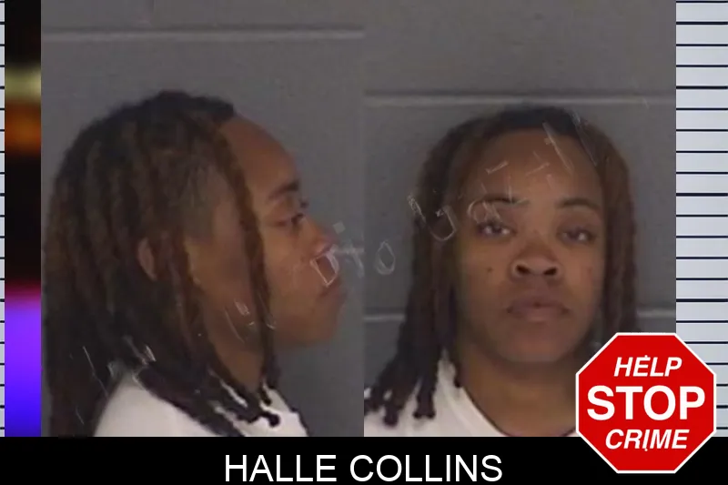 Halle Collins Mugshots