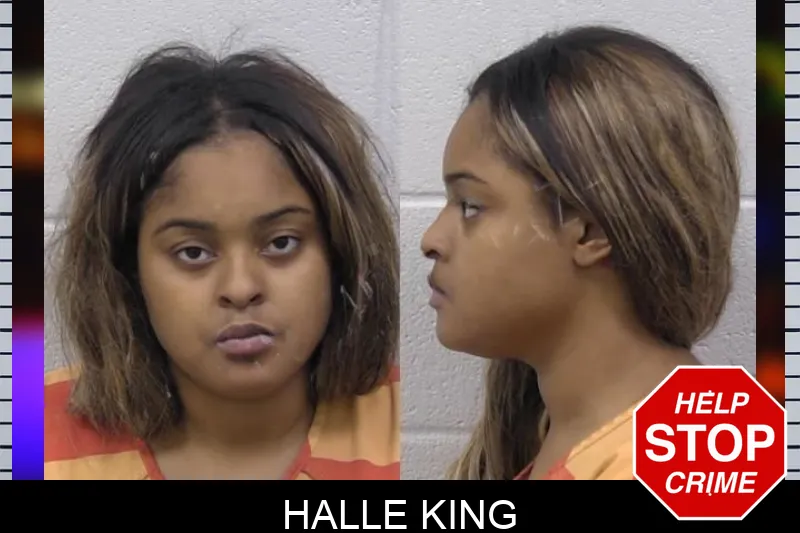 Halle King mugshot – Paulding County , Georgia Halle King