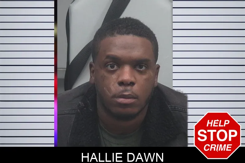 Hallie Dawn Mugshots