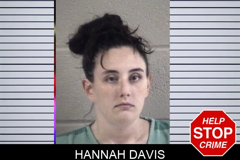 Hannah Davis mugshot – Whitfield County , Georgia Hannah Davis mugshot