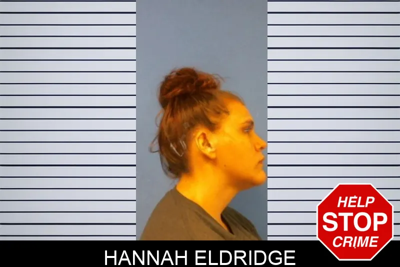 Hannah Eldridge mugshot – Troup County , Georgia Hannah Eldridge mugshot