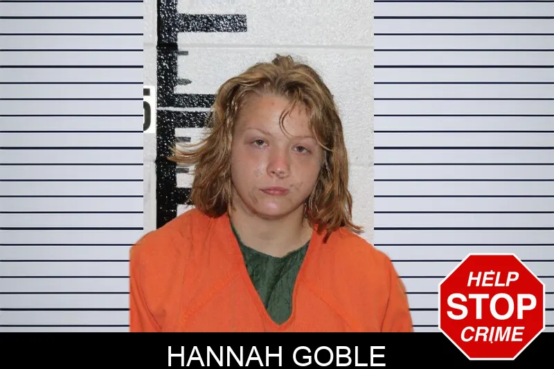 Hannah Goble Mugshots