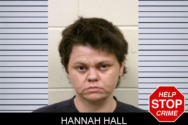 Hannah Hall Mugshots