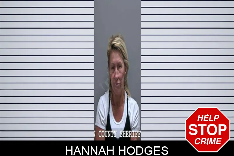 Hannah Hodges Mugshots