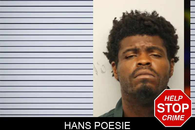 Hans Poesie mugshot