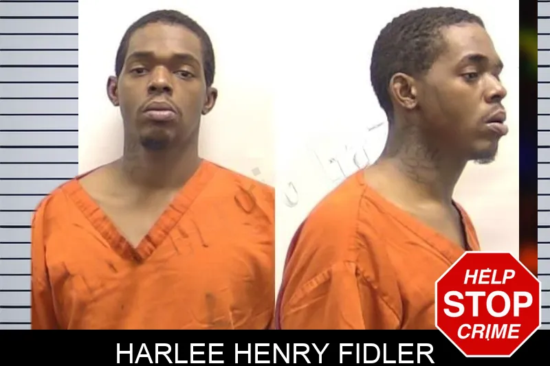 Harlee Henry Fidler mugshot