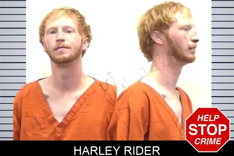 Harley Rider mugshot