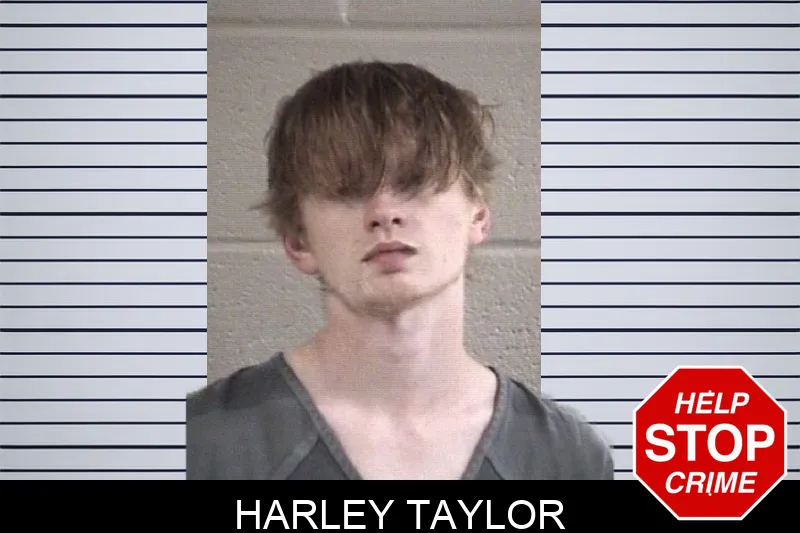 Harley Taylor Mugshots