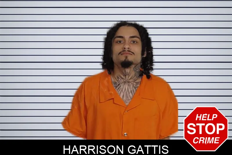 Harrison Gattis Mugshots