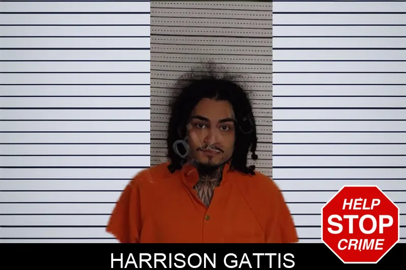 Harrison Gattis Mugshots