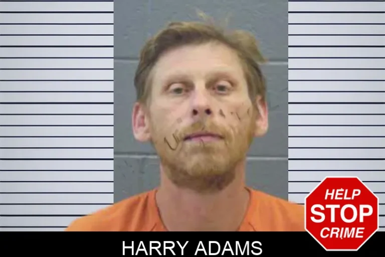 Harry Adams