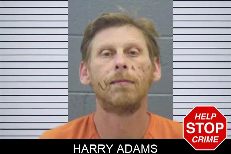 Harry Adams Mugshots