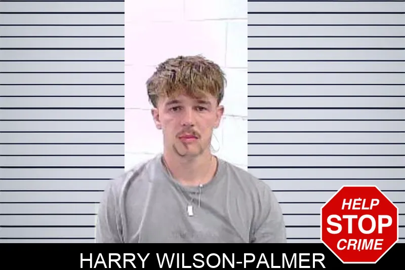Harry Wilson-Palmer mugshot