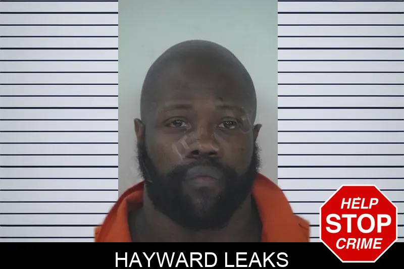 Hayward Leaks mugshot – Fayette County , Georgia Hayward Leaks mugshot