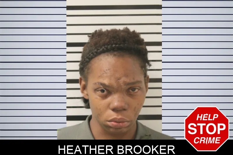 Heather Brooker Mugshots
