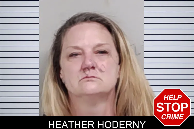 Heather Hoderny Mugshots