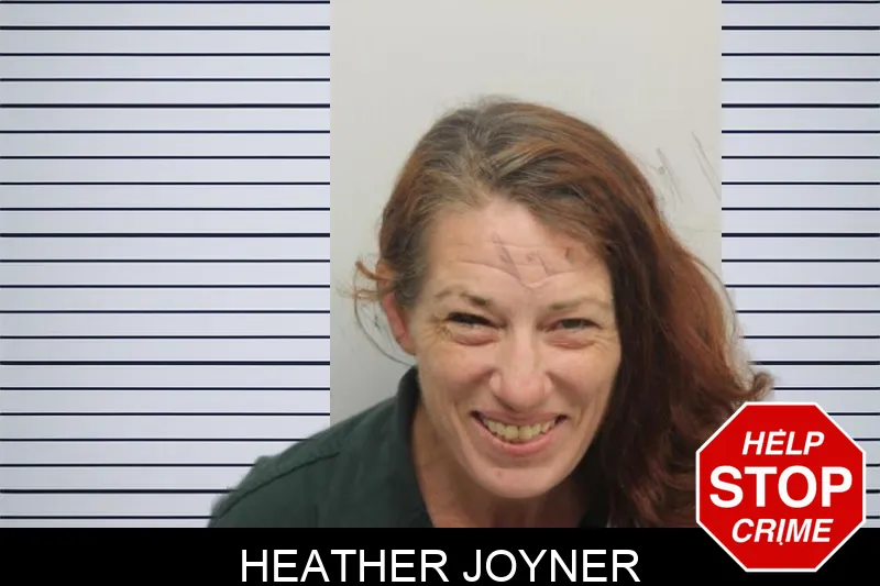 Heather Joyner mugshot – Chatham County , Georgia Heather Joyner mugshot