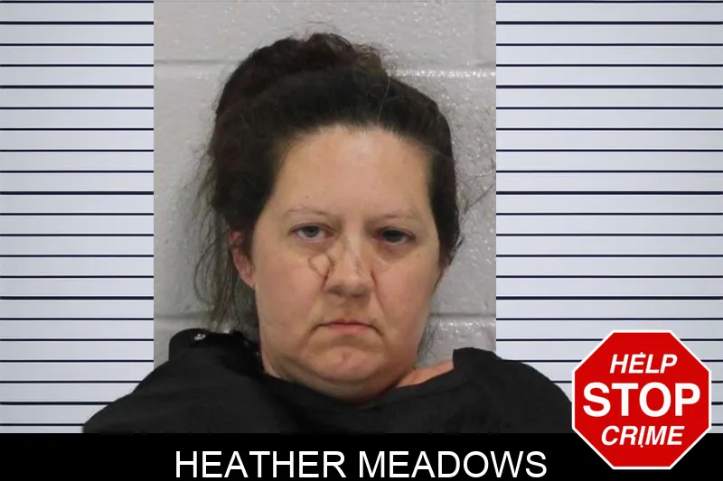 Heather Meadows mugshot
