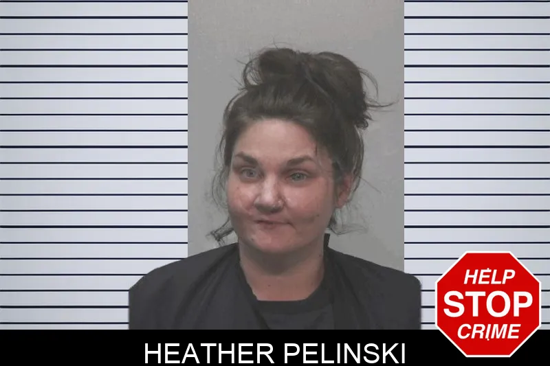 Heather Pelinski mugshot – Coweta County , Georgia Heather Pelinski mugshot
