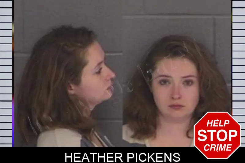 Heather Pickens Mugshots