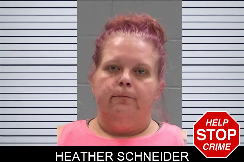 Heather Schneider Mugshots