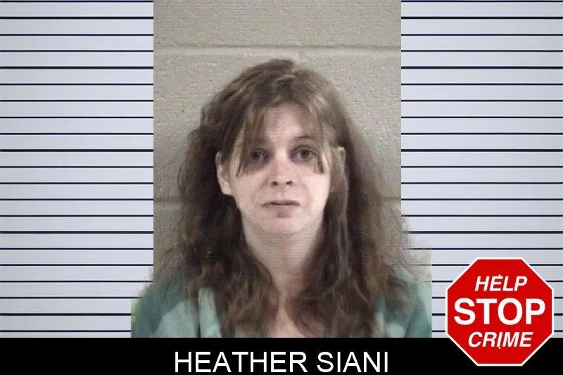 Heather Siani mugshot – Whitfield County , Georgia Heather Siani mugshot
