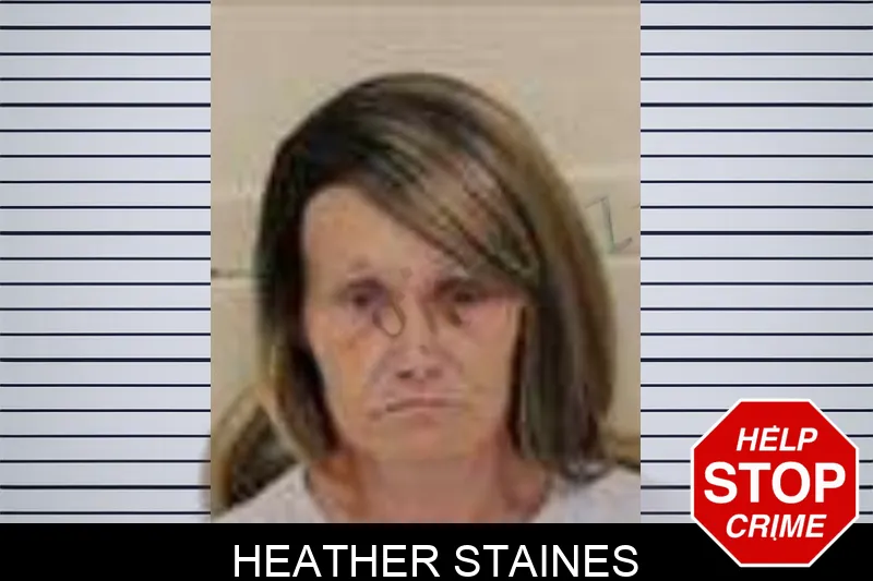 Heather Staines mugshot – Peach County , Georgia Heather Staines mugshot