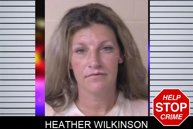 Heather Wilkinson Mugshots