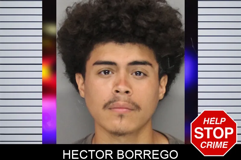 Hector Borrego mugshot – Cobb County , Georgia Hector Borrego mugshot