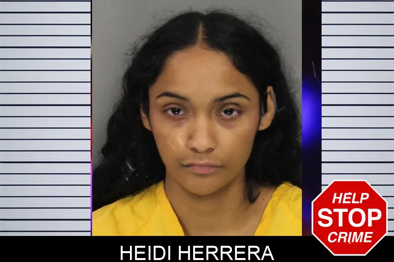 Heidi Herrera mugshot