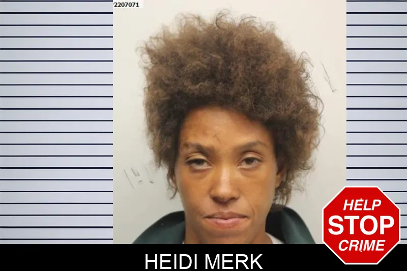 Heidi Merk Mugshots