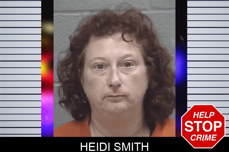 Heidi Smith Mugshots