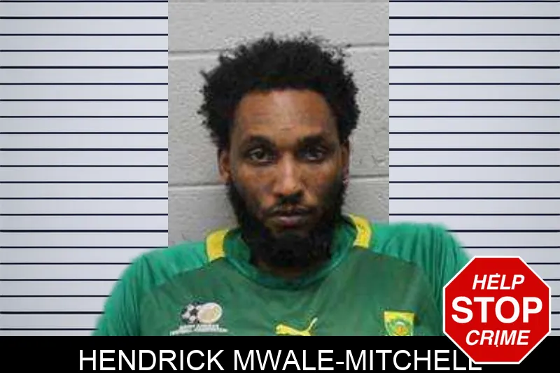 Hendrick Mwale-Mitchell Mugshots
