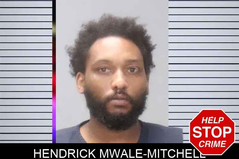 Hendrick Mwale-Mitchell Mugshots