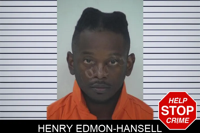 Henry Edmon-Hansell Mugshots