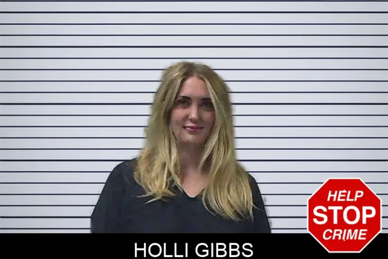 Holli Gibbs mugshot – Gilmer County , Georgia Holli Gibbs