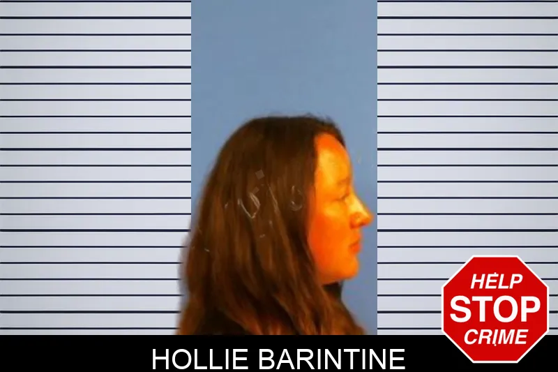 Hollie Barintine Mugshots