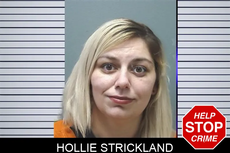 Hollie Strickland mugshot – Cherokee County , Georgia Hollie Strickland mugshot