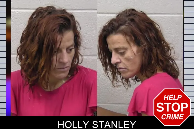 Holly Stanley mugshot – Paulding County , Georgia Holly Stanley mugshot