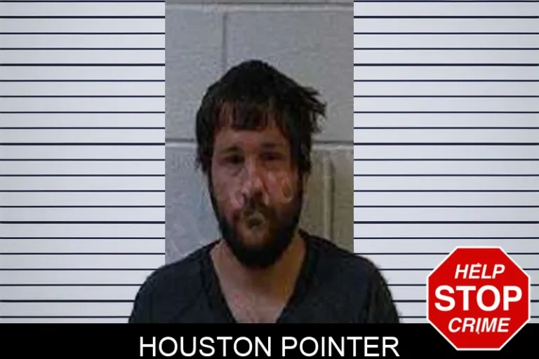 Houston Pointer