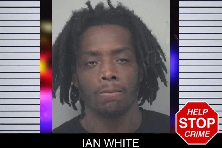 Ian White mugshot – Gwinnett County , Georgia Ian White