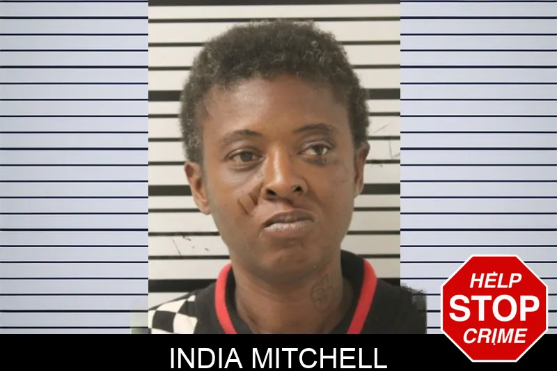 India Mitchell Mugshots