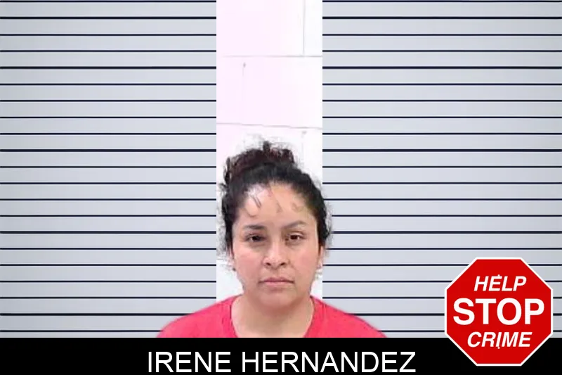 Irene Hernandez mugshot
