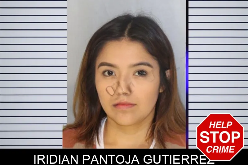 Iridian Pantoja Gutierrez mugshot – Hall County , Georgia Iridian Pantoja Gutierrez mugshot