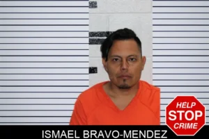 Ismael Bravo-Mendez mugshot
