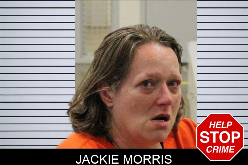 Jackie Morris Mugshots