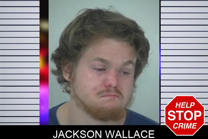 Jackson Wallace Mugshots