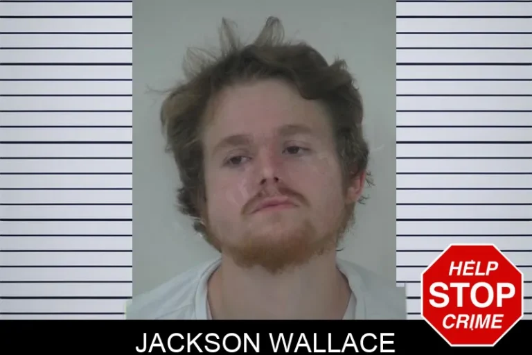 Jackson Wallace